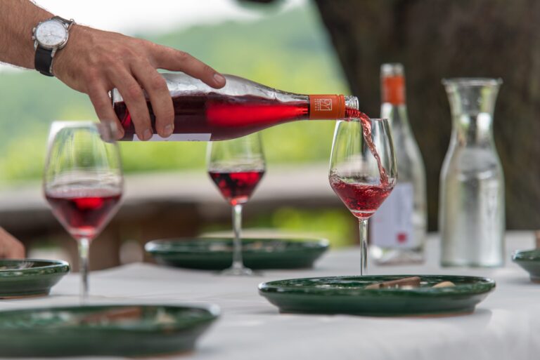 Wine Club & Shipping FAQs 1 Taste Hungary WIne tasting in Szekszard scaled 1