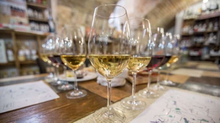 Tasting Table Cellar 13 svg%3E