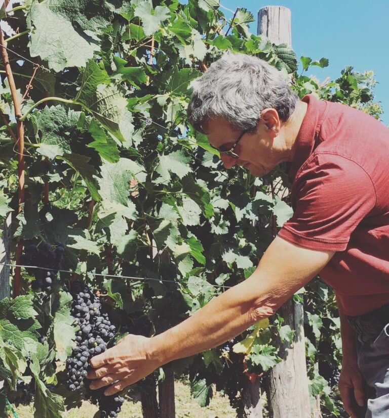Our Wineries 6 70174029 2695007723844402 2262320997501763584 o